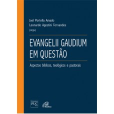 Evangelii Gaudium em questão: aspectos bíblicos, teológicos e pastorais Evangelii Gaudium em questão: aspectos bíblicos, teológicos e pastorais