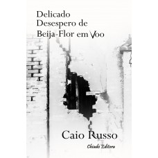 Delicado Desespero de Beija-Flor em Voo Delicado Desespero de Beija-Flor em Voo