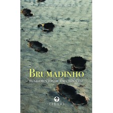 Brumadinho - Fundamentos de uma hipótese Brumadinho - Fundamentos de uma hipótese