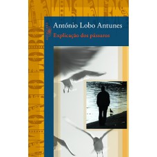 Explicação dos pássaros