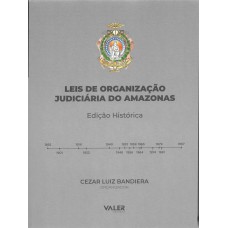 LEIS DE ORGANIZAÇÃO JUDICIARIA DO AMAZONAS LEIS DE ORGANIZAÇÃO JUDICIARIA DO AMAZONAS