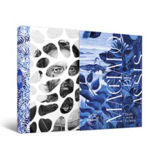 Machado, a cidade e seus pecados