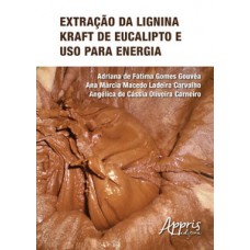Extração da lignina kraft de eucalipto e uso para energia
