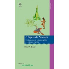 O tapete de penélope O tapete de penélope