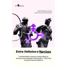 Entre Hefestos e Narcisos Entre Hefestos e Narcisos