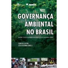 Governança ambiental no Brasil