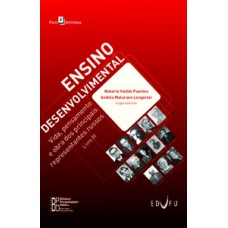 Ensino desenvolvimental Ensino desenvolvimental