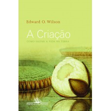 A criação A criação