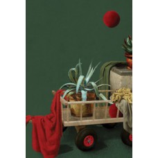 Onde você vai encontrar um outro pai como o meu