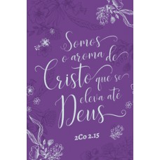 Bíblia nvt letra grande - aroma de Cristo