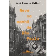 Neve na manhã de São Paulo