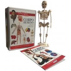 Explorando o mundo - corpo humano Explorando o mundo - corpo humano