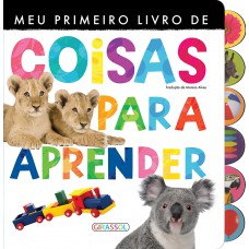 Meu primeiro livro de coisas para aprender