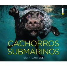 Cachorros submarinos Cachorros submarinos