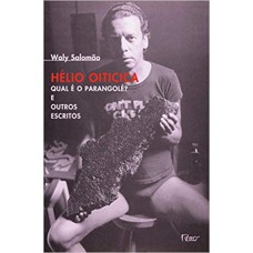 Helio Oiticica. Qual é o parangolé? Helio Oiticica. Qual é o parangolé?