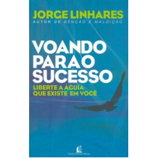 Voando para o sucesso Voando para o sucesso