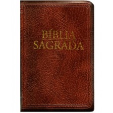 Bíblia Sagrada - Nova tradução na linguagem de hoje - (Média - Zíper marrom) Bíblia Sagrada - Nova tradução na linguagem de hoje - (Média - Zíper marrom)